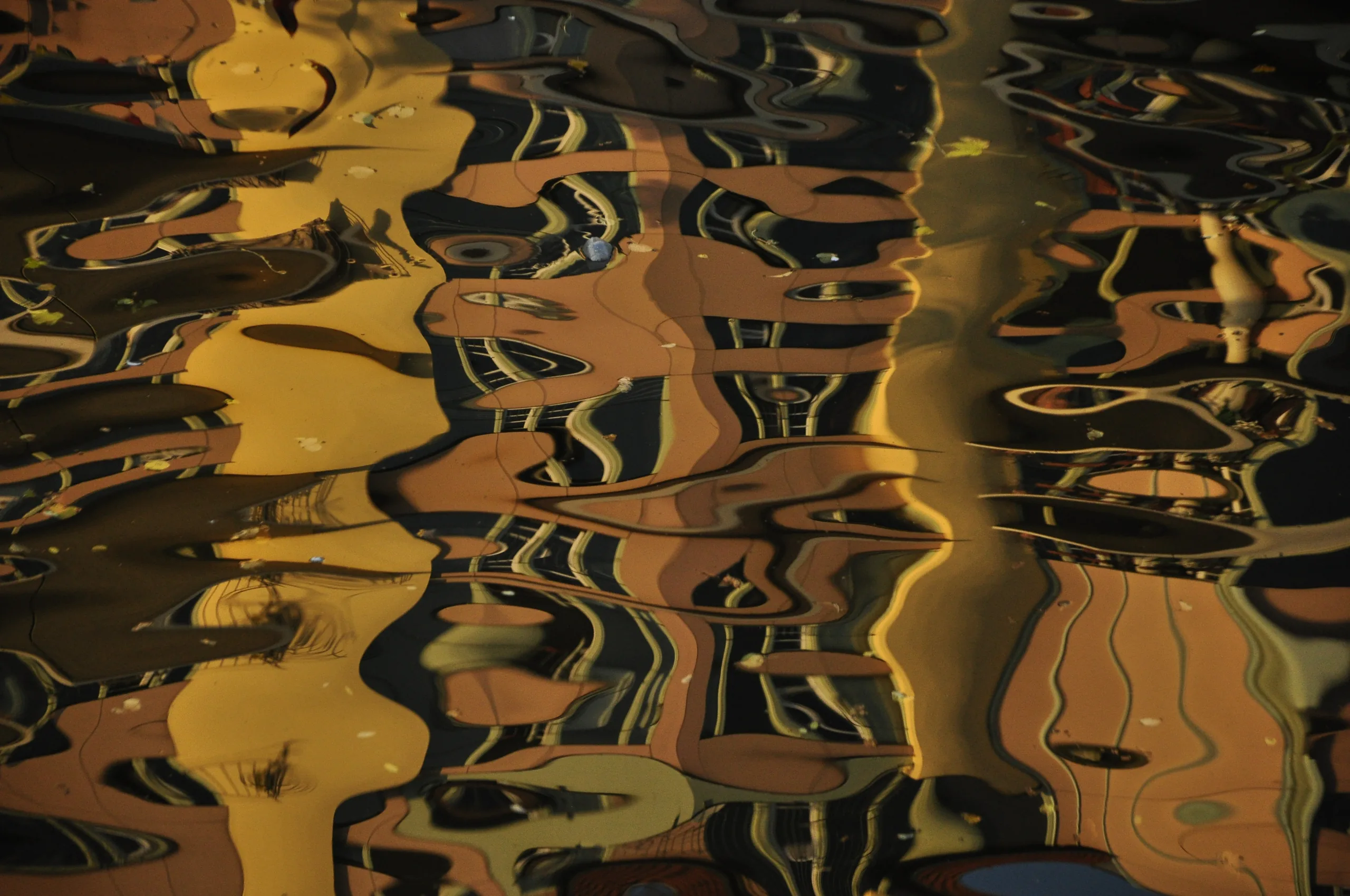 Water Stories